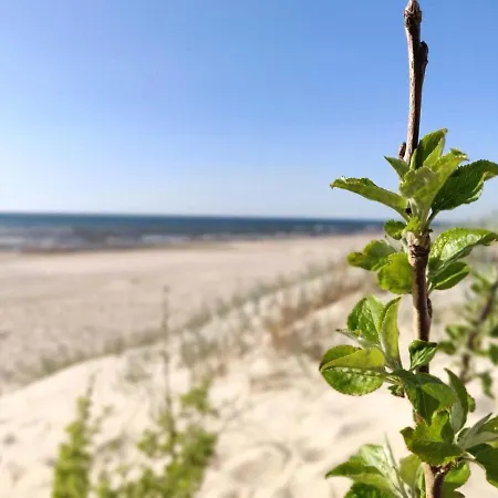 Apartamentai Palangoje Palanga